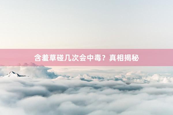 含羞草碰几次会中毒？真相揭秘