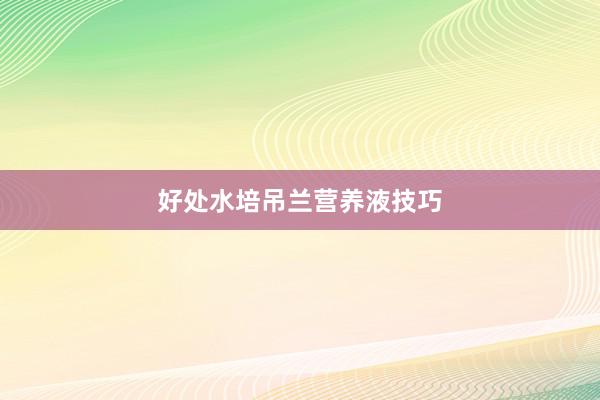 好处水培吊兰营养液技巧