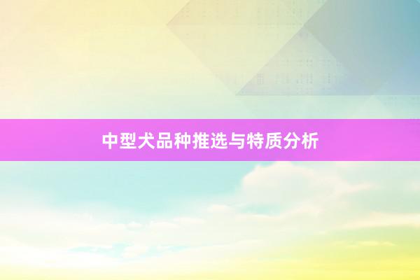 中型犬品种推选与特质分析